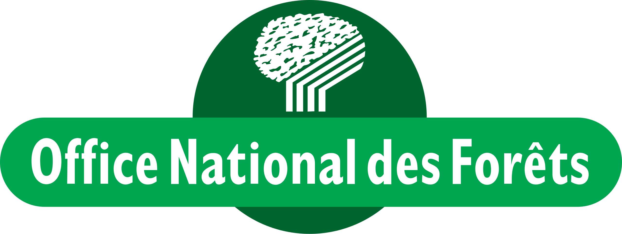 logo_onf